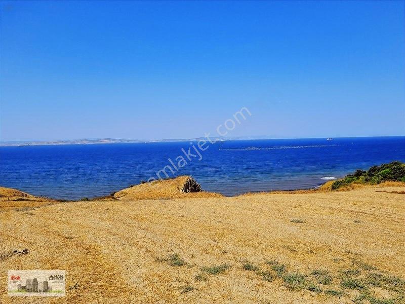 Lapseki Alpagut'ta 937 M2 1/24 Hisseli Full Deniz Manzaralıtarla — fotoğraf 9