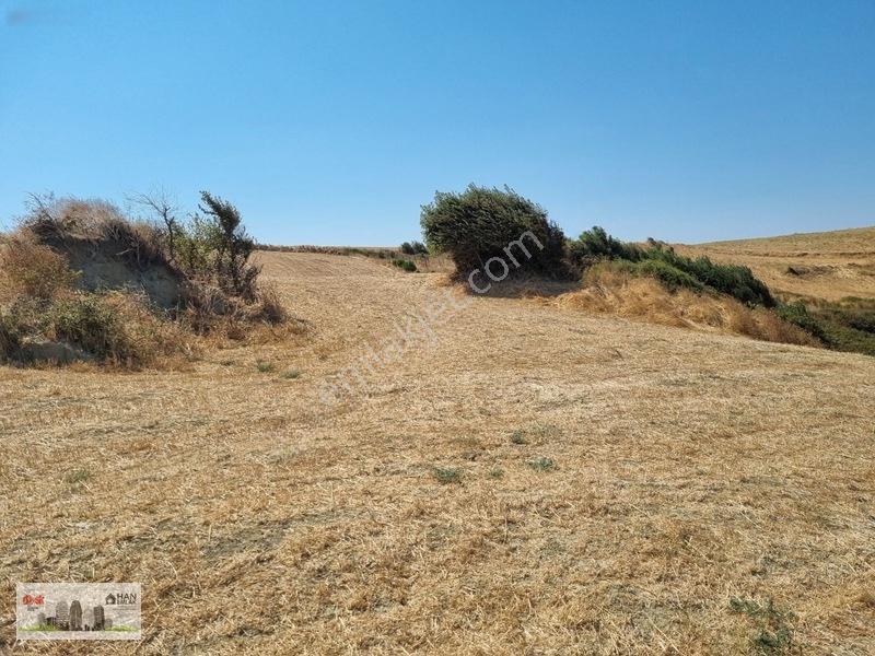Lapseki Alpagut'ta 937 M2 1/24 Hisseli Full Deniz Manzaralıtarla — fotoğraf 11
