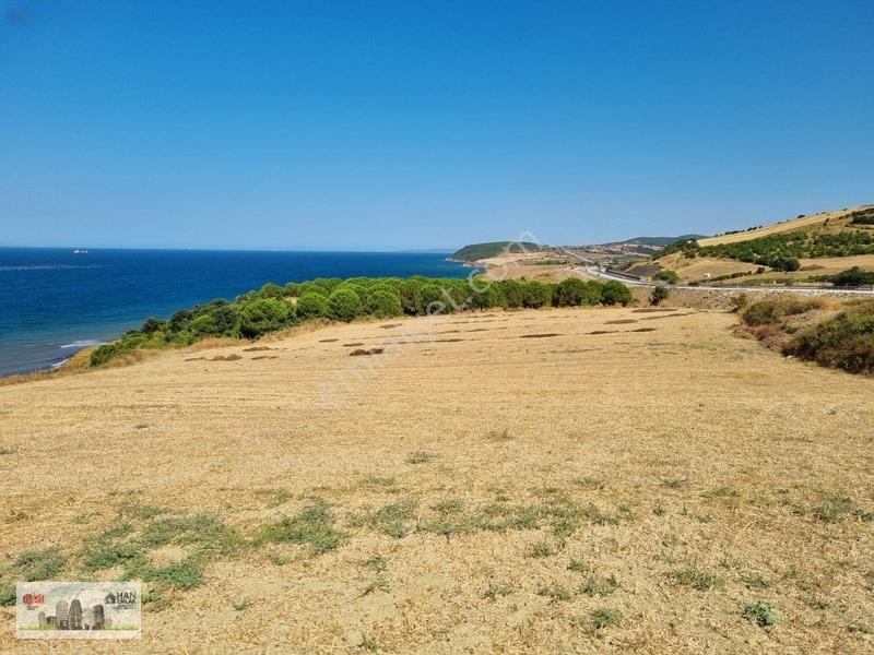 Lapseki Alpagut'ta 937 M2 1/24 Hisseli Full Deniz Manzaralıtarla — fotoğraf 12