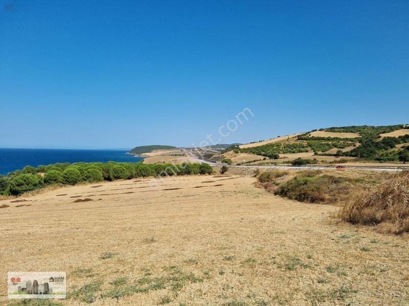 Lapseki Alpagut'ta 937 M2 1/24 Hisseli Full Deniz Manzaralıtarla — fotoğraf 13