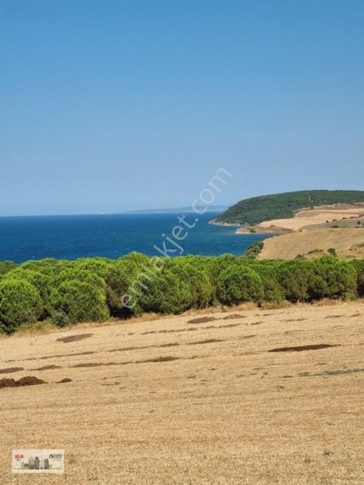 Lapseki Alpagut'ta 937 M2 1/24 Hisseli Full Deniz Manzaralıtarla — fotoğraf 14