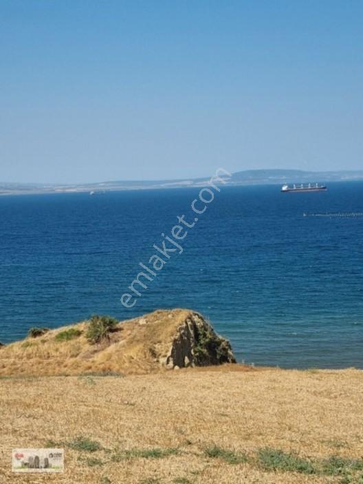 Lapseki Alpagut'ta 937 M2 1/24 Hisseli Full Deniz Manzaralıtarla — fotoğraf 15