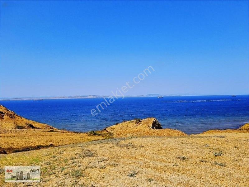 Lapseki Alpagut'ta 937 M2 1/24 Hisseli Full Deniz Manzaralıtarla — fotoğraf 19