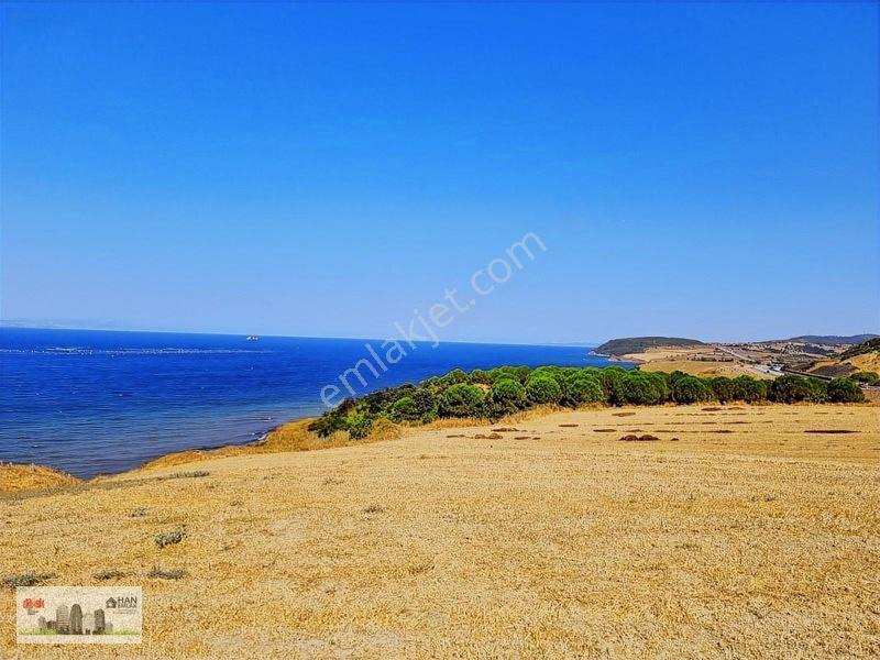 Lapseki Alpagut'ta 937 M2 1/24 Hisseli Full Deniz Manzaralıtarla — fotoğraf 21