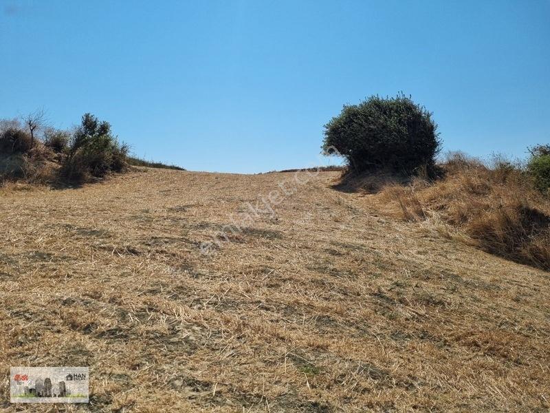 Lapseki Alpagut'ta 937 M2 1/24 Hisseli Full Deniz Manzaralıtarla — fotoğraf 24