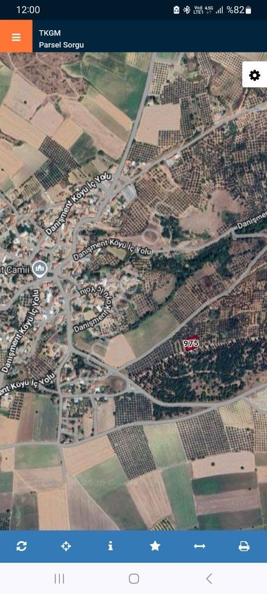 Karacabey Danişment'te Satılık 870m² 14 Ağaç Bakımlı Zeytinlik — fotoğraf 10