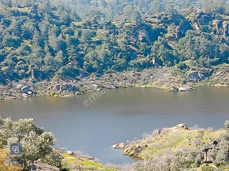Aydın Çine'de Köye Yakın 54 Dönüm Satılık Bedava Zeytinlik — fotoğraf 8
