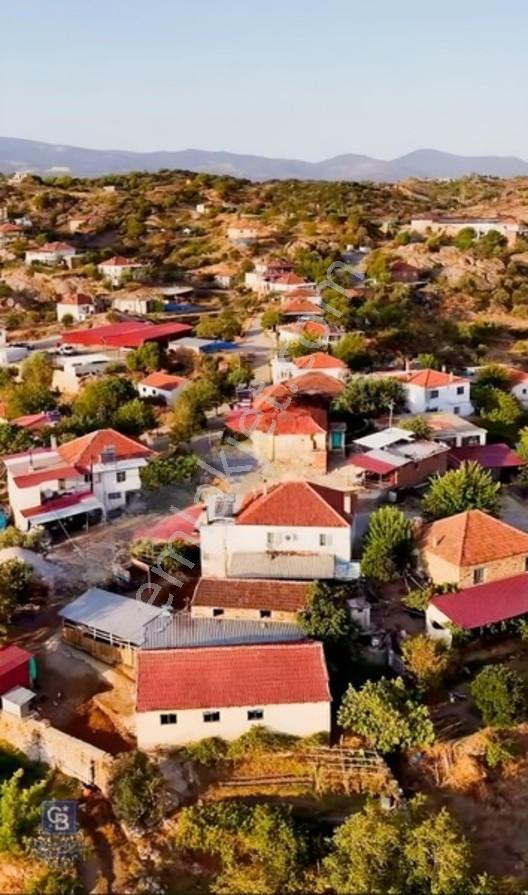 Aydın Çine'de Köye Yakın 54 Dönüm Satılık Bedava Zeytinlik — fotoğraf 18