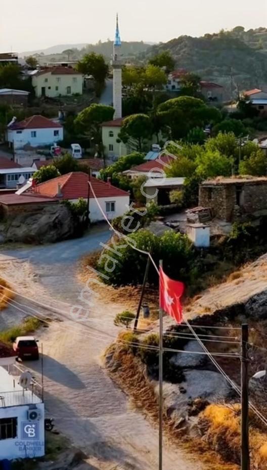 Aydın Çine'de Köye Yakın 54 Dönüm Satılık Bedava Zeytinlik — fotoğraf 20