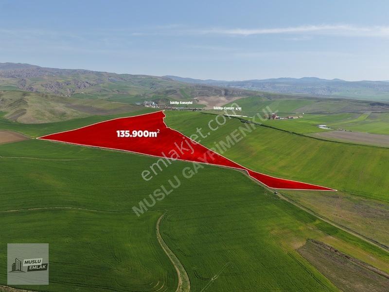 Musludan İskilipte Satılık 136 Dönüm Satılık Tarla