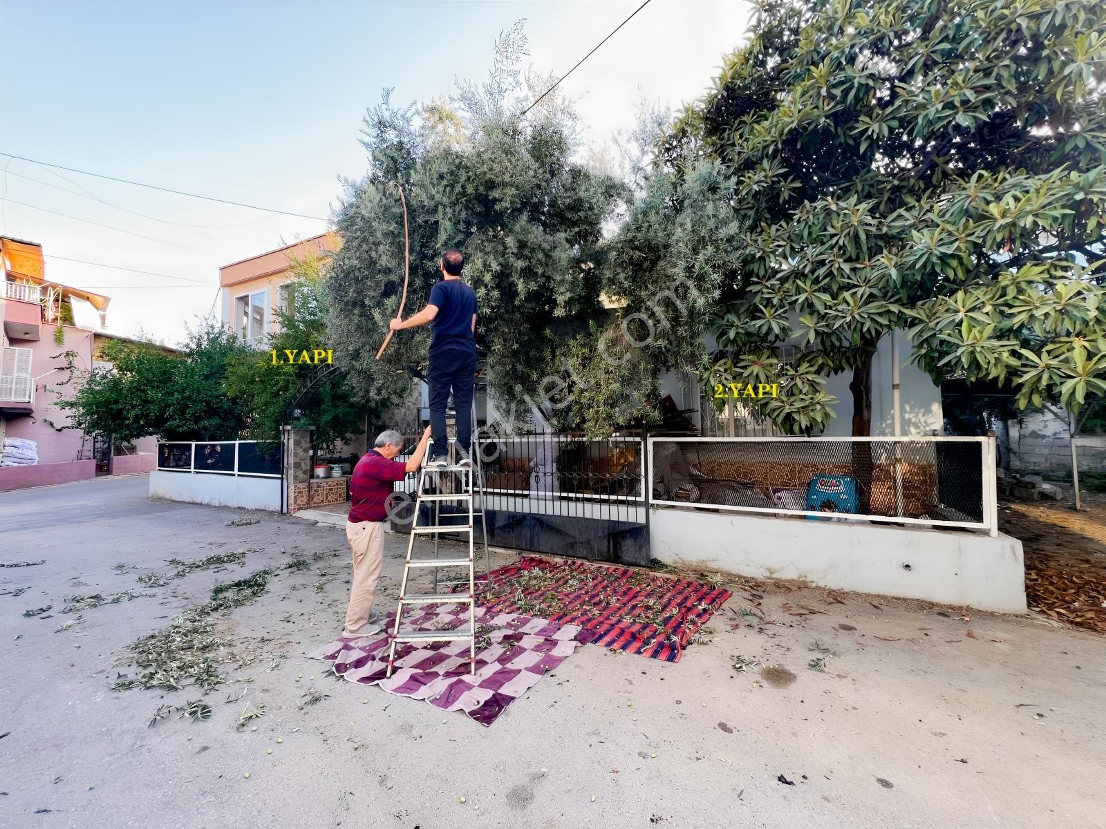 Çavuşlu Çukurova'da 305 M² Arsa İçinde 3 Daireli Müstakil — fotoğraf 4