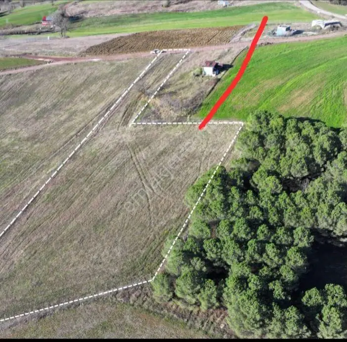 Kocaeli Derince Geredeli'de %5 İmarlı Satılık Tarla