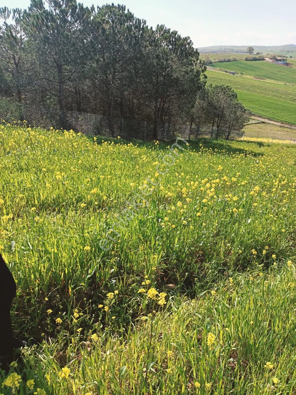 Kocaeli Derince Geredeli'de %5 İmarlı Satılık Tarla — fotoğraf 2