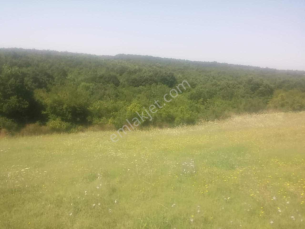 İstanbul Silivri Akören Mah.3064 M2 Satılık Tarla