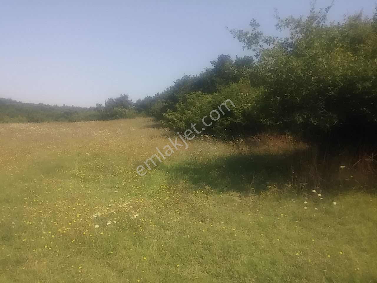İstanbul Silivri Akören Mah.3064 M2 Satılık Tarla — fotoğraf 7