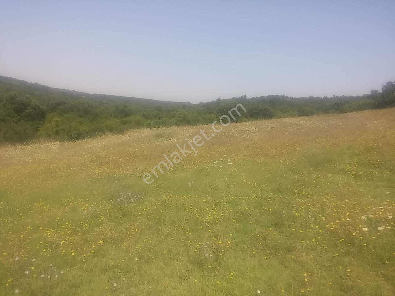 İstanbul Silivri Akören Mah.3064 M2 Satılık Tarla — fotoğraf 8