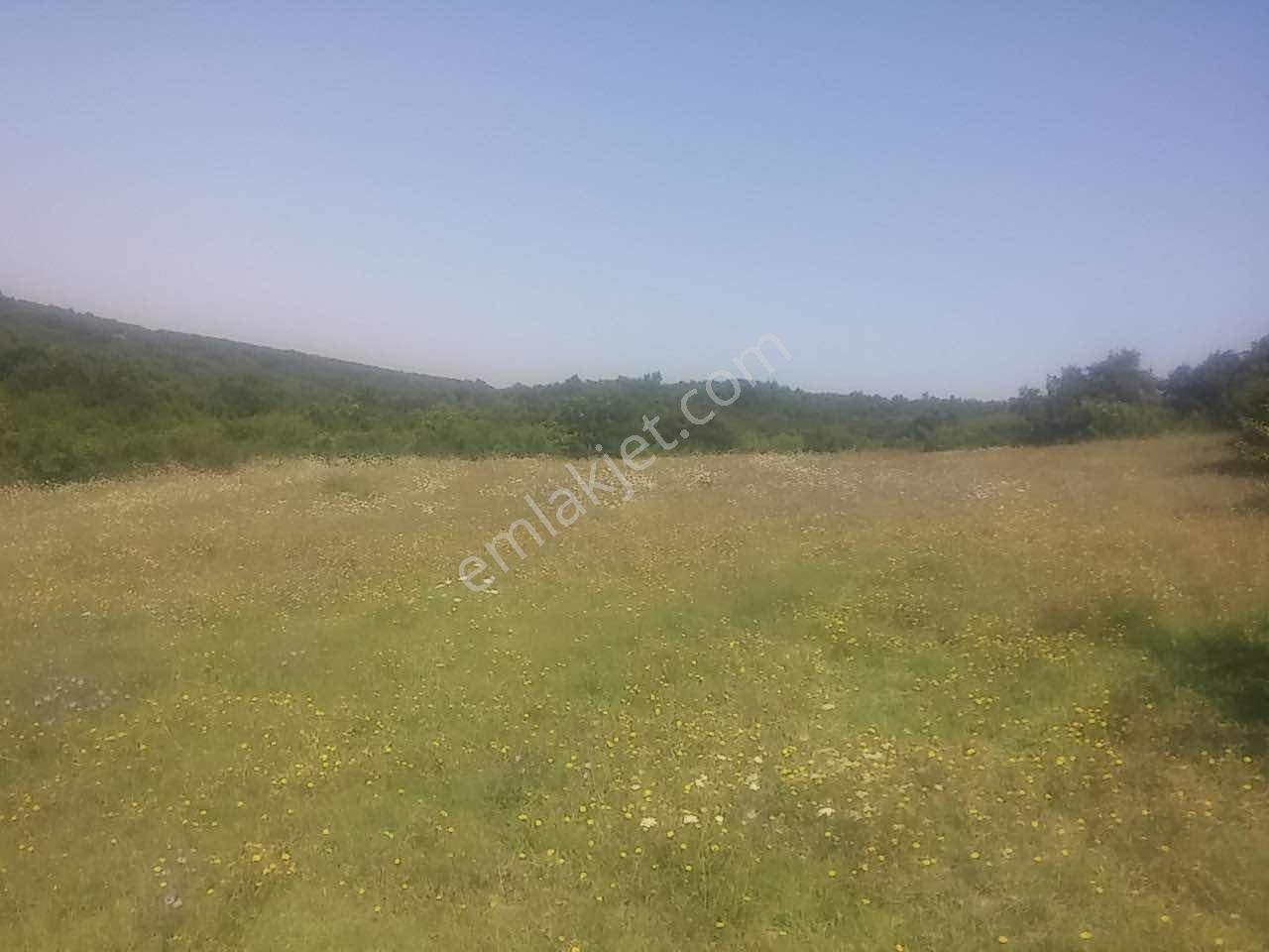 İstanbul Silivri Akören Mah.3064 M2 Satılık Tarla — fotoğraf 9