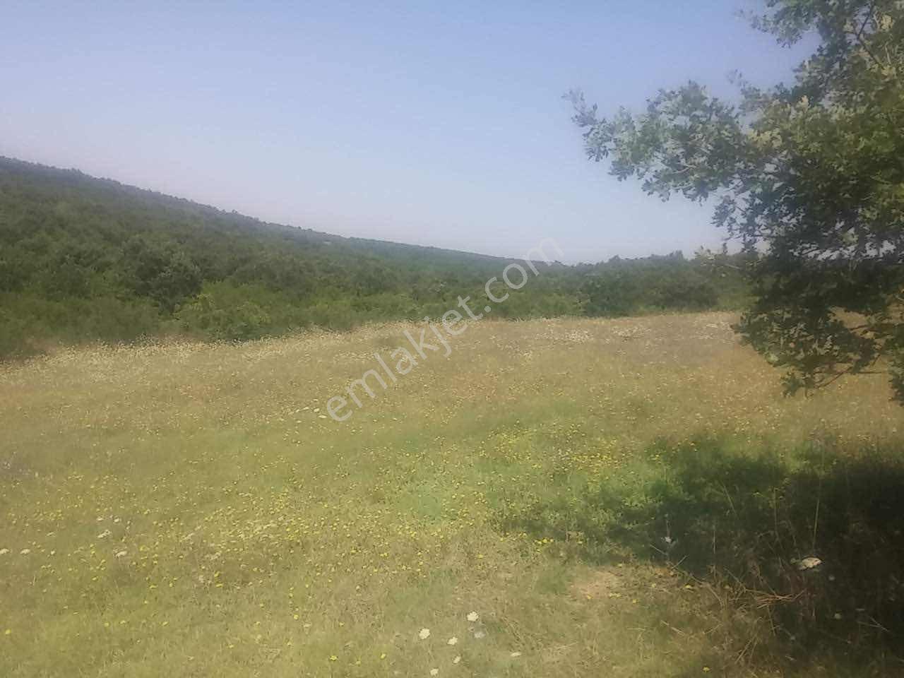 İstanbul Silivri Akören Mah.3064 M2 Satılık Tarla — fotoğraf 10