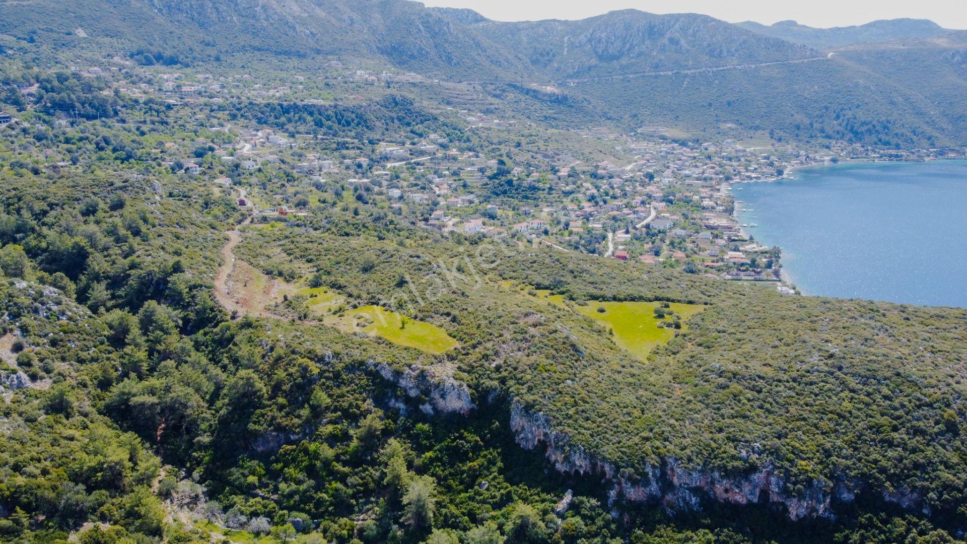 Joker: Söğüt Deniz Manzaralı Karavana Uygun Tarla — fotoğraf 4