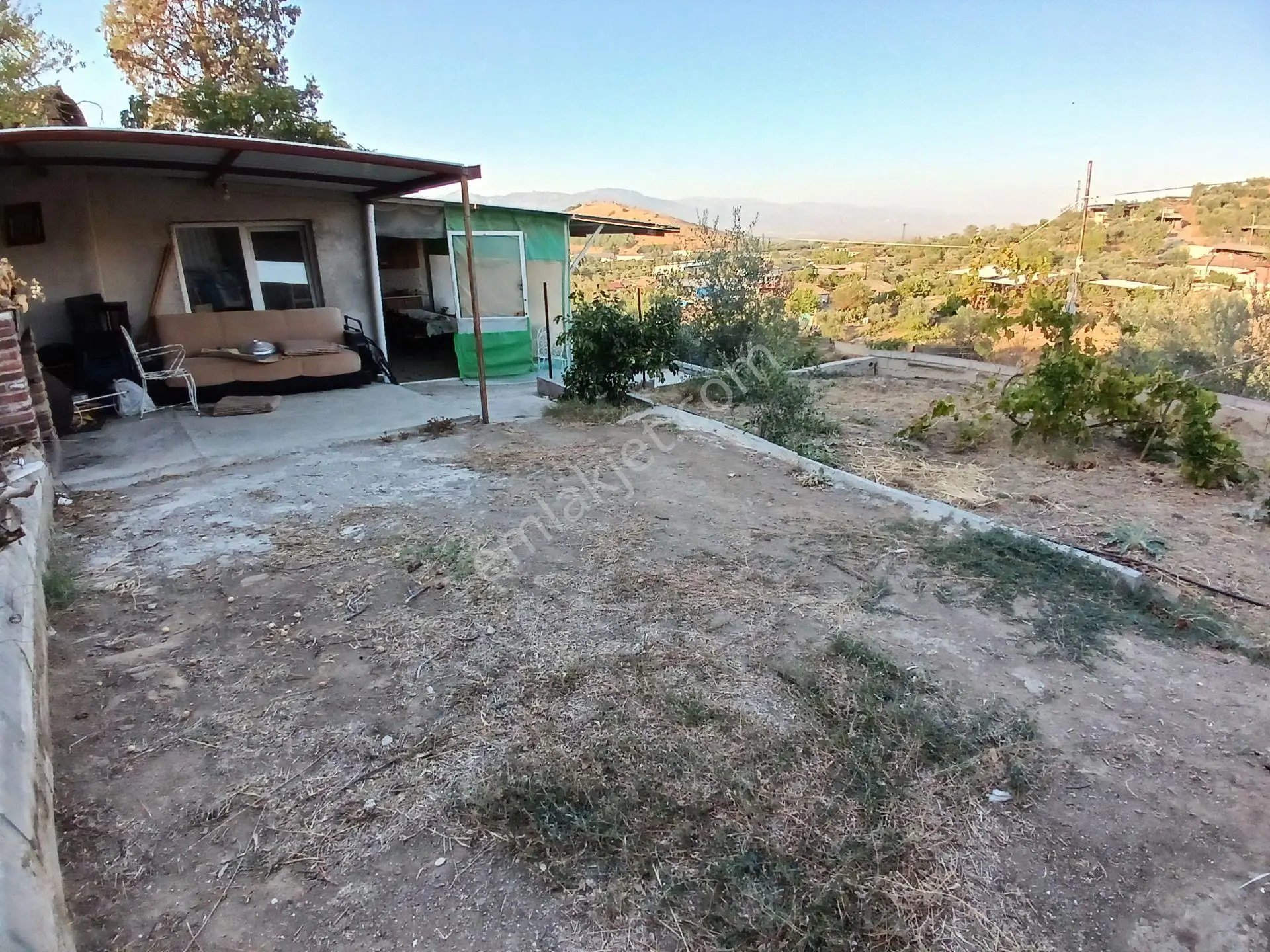 Aydın Efeler Dalama'da Satılık 1416 M² Zeytinli Bağ — fotoğraf 2