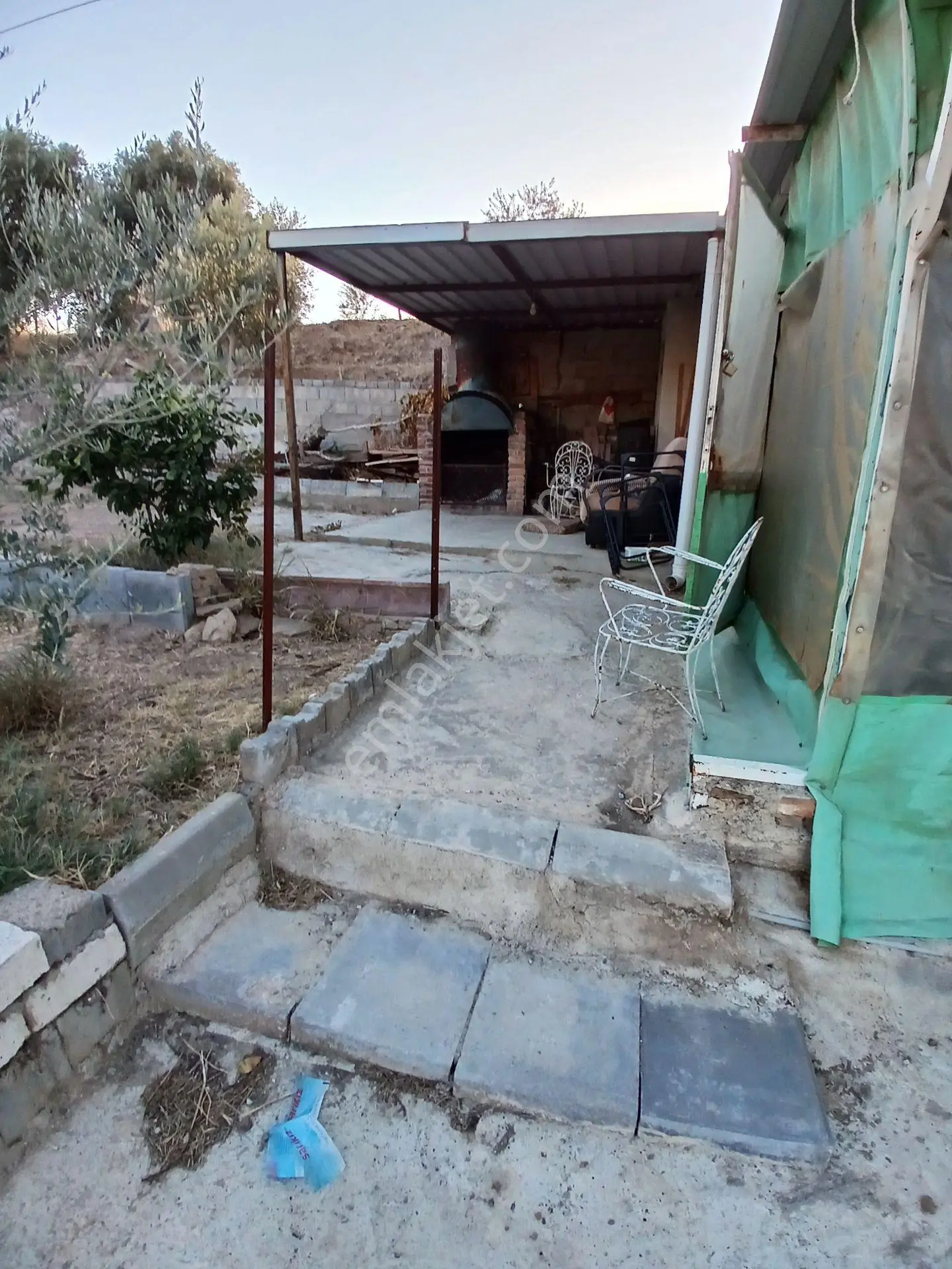 Aydın Efeler Dalama'da Satılık 1416 M² Zeytinli Bağ — fotoğraf 5