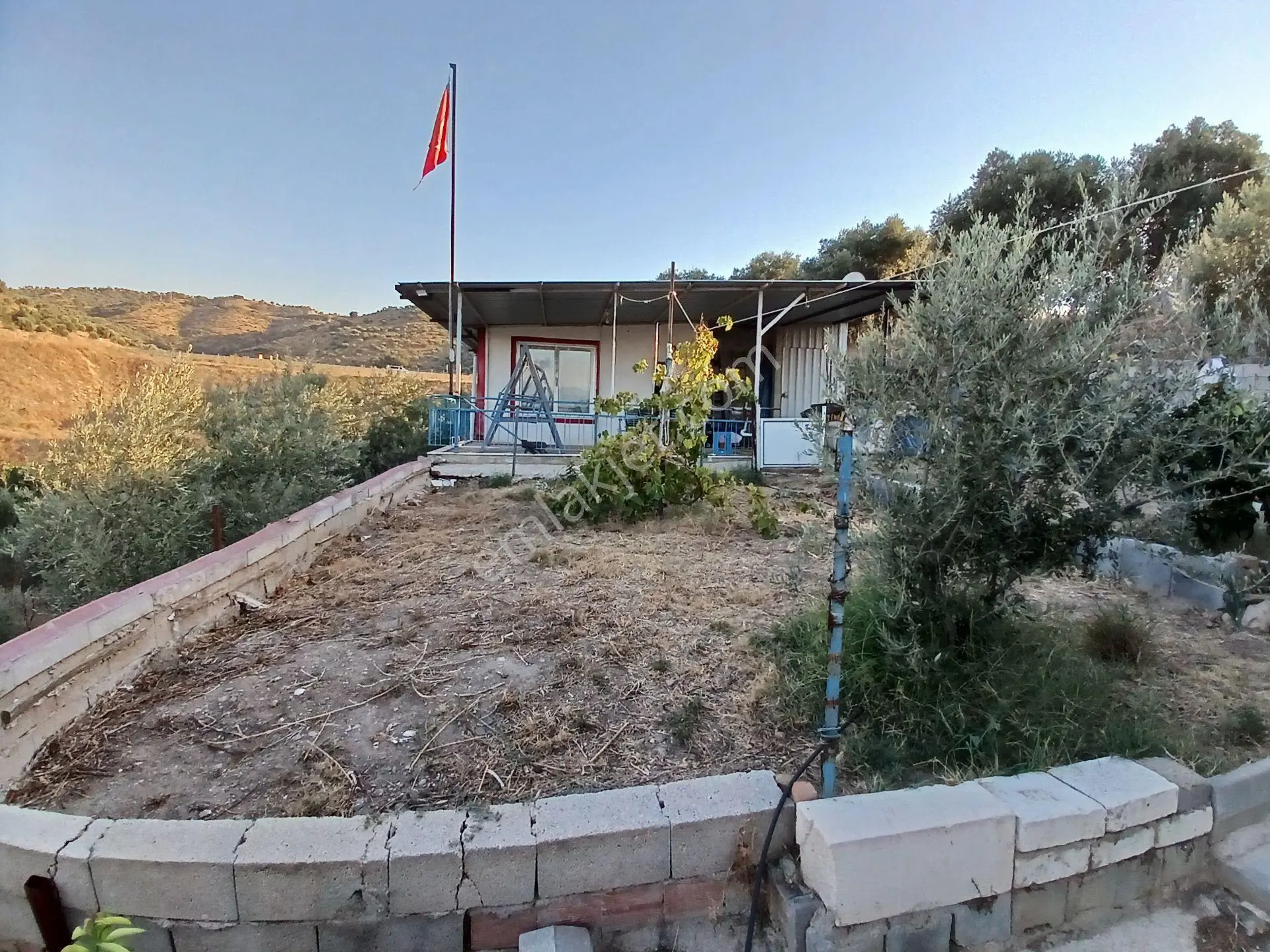 Aydın Efeler Dalama'da Satılık 1416 M² Zeytinli Bağ — fotoğraf 8