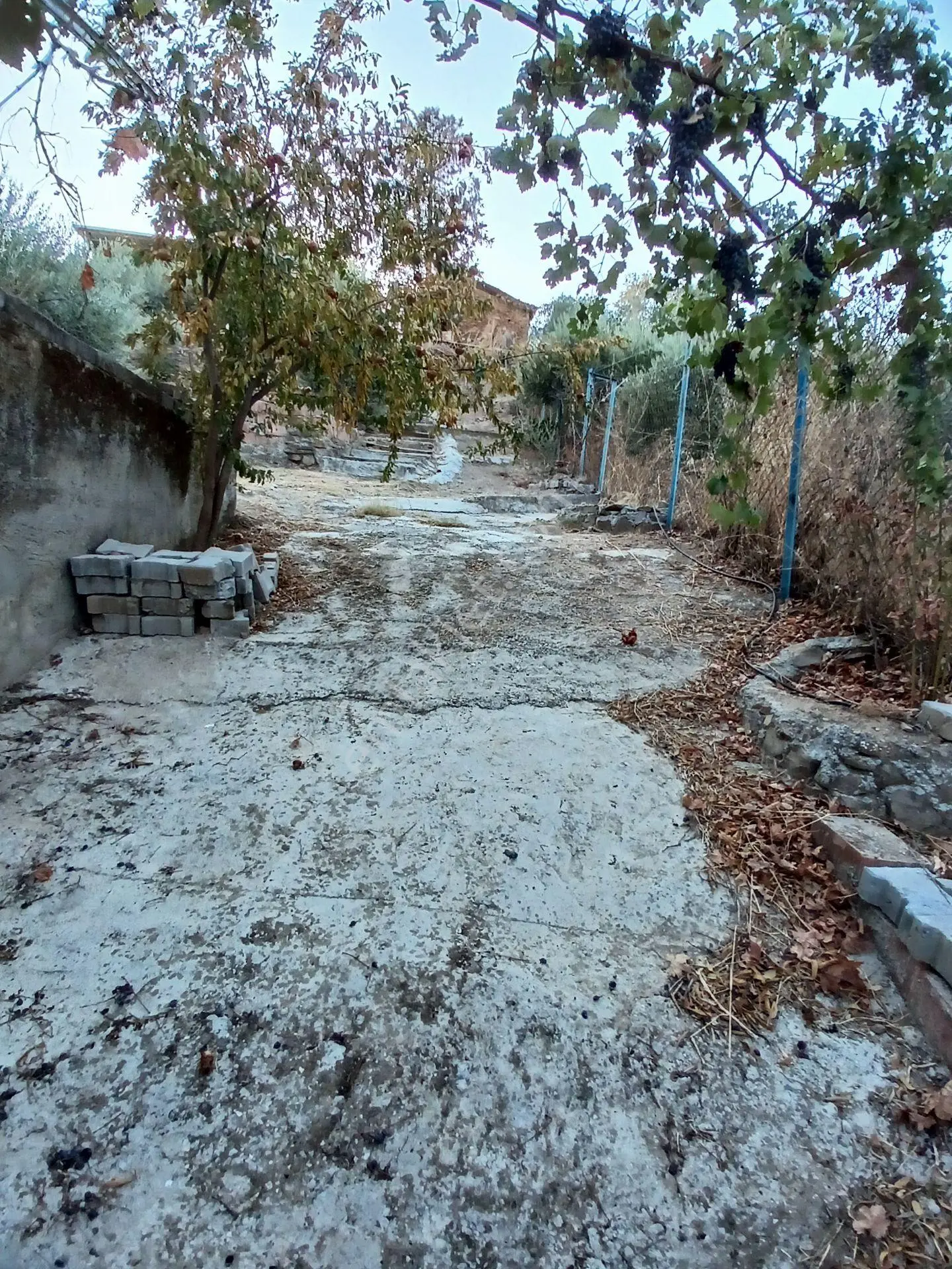 Aydın Efeler Dalama'da Satılık 1416 M² Zeytinli Bağ — fotoğraf 17