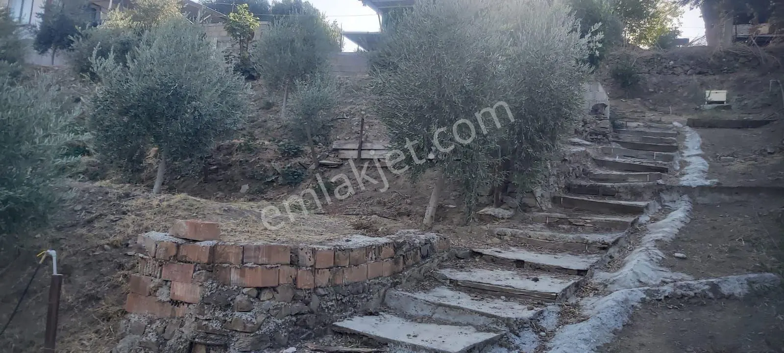 Aydın Efeler Dalama'da Satılık 1416 M² Zeytinli Bağ — fotoğraf 21
