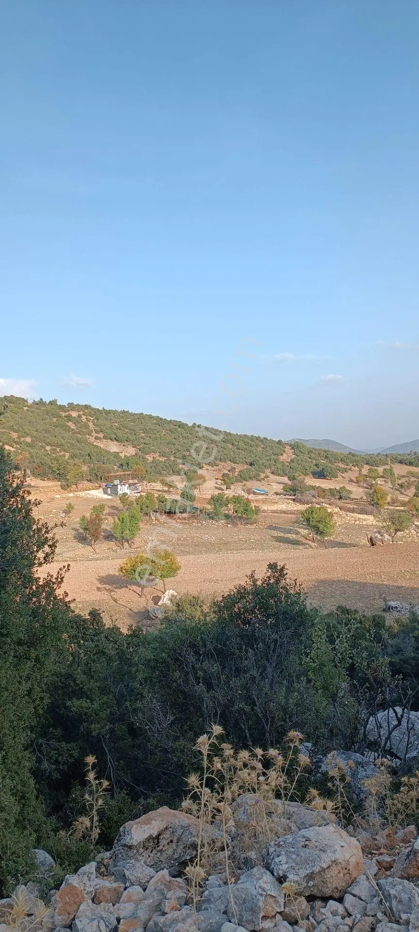 Wisrem'Den Güvenli'De Satılık 2.013 M² Tarla