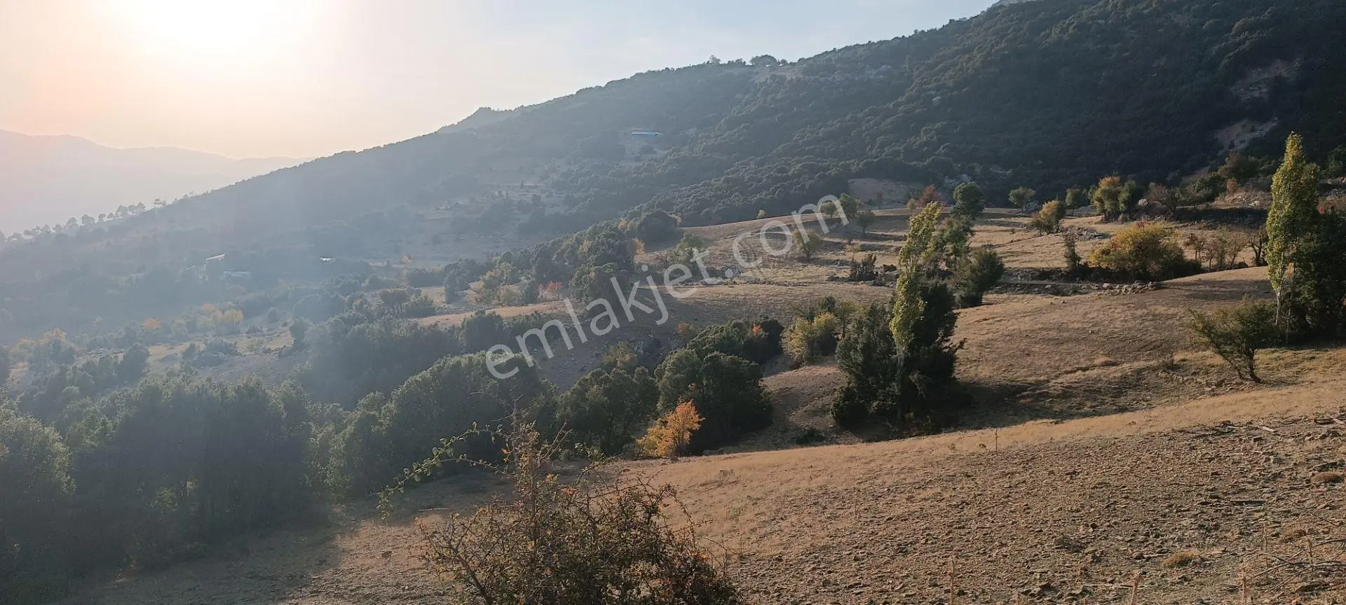 Wisrem'den Güvenli'de Satılık 2.013 M² Tarla — fotoğraf 4