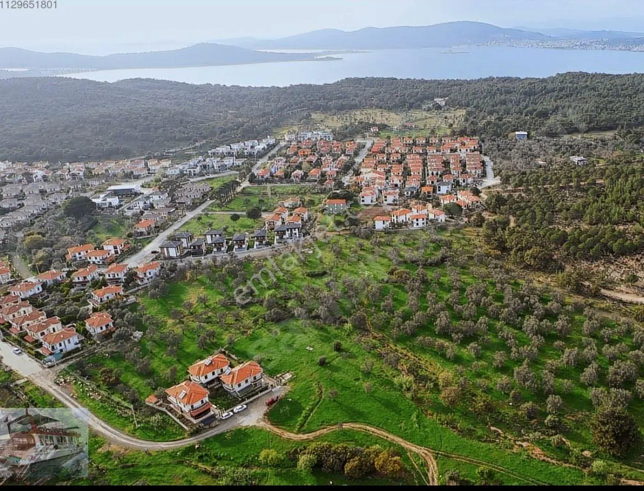 Ayvalık Camlık Ta Satılık 2540 Metre Kare Villa İmarlı Arsa