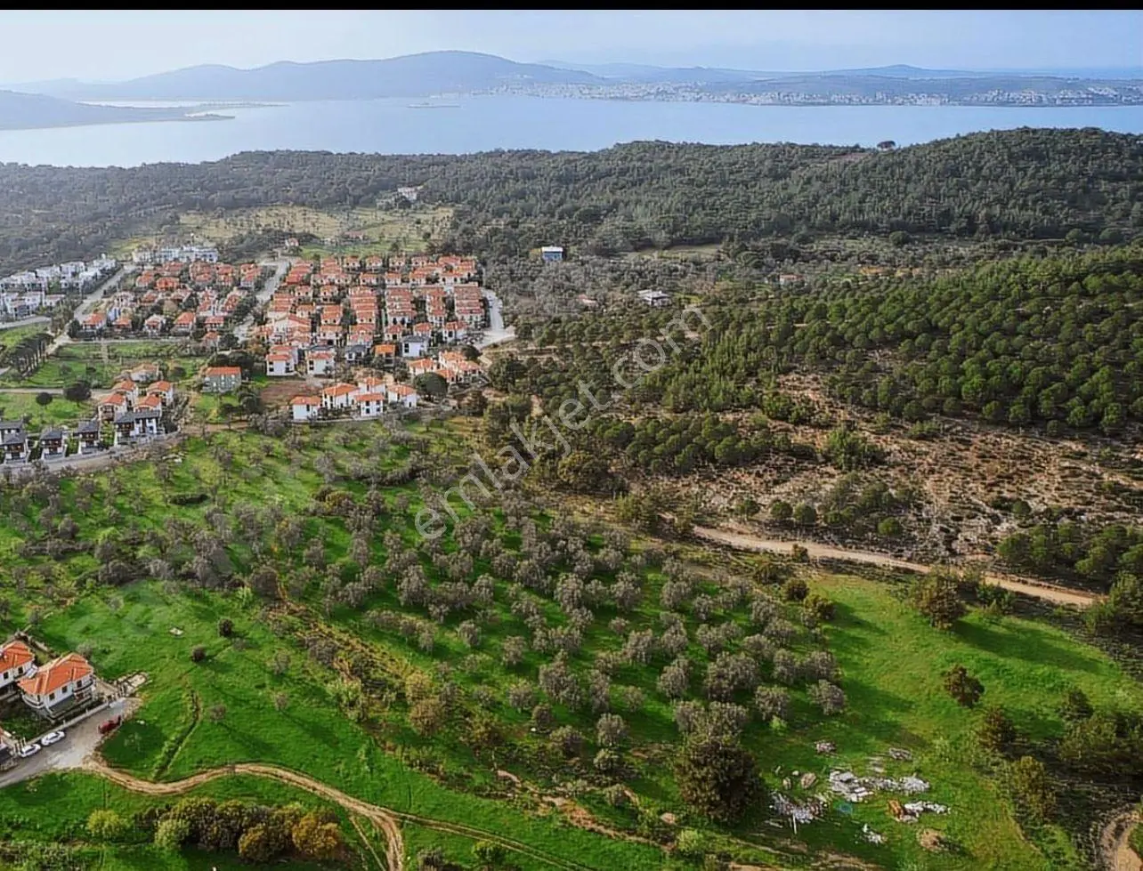 Ayvalık Camlık Ta Satılık 2540 Metre Kare Villa İmarlı Arsa — fotoğraf 3