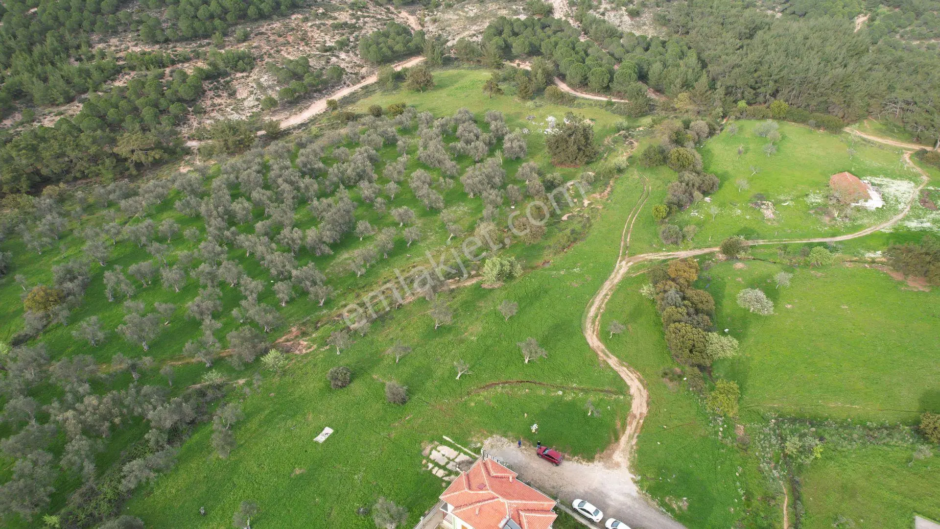 Ayvalık Camlık Ta Satılık 2540 Metre Kare Villa İmarlı Arsa — fotoğraf 4