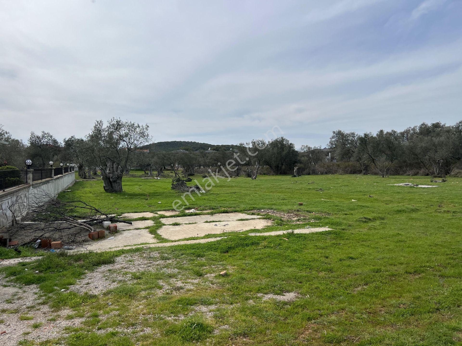 Ayvalık Camlık Ta Satılık 2540 Metre Kare Villa İmarlı Arsa — fotoğraf 8