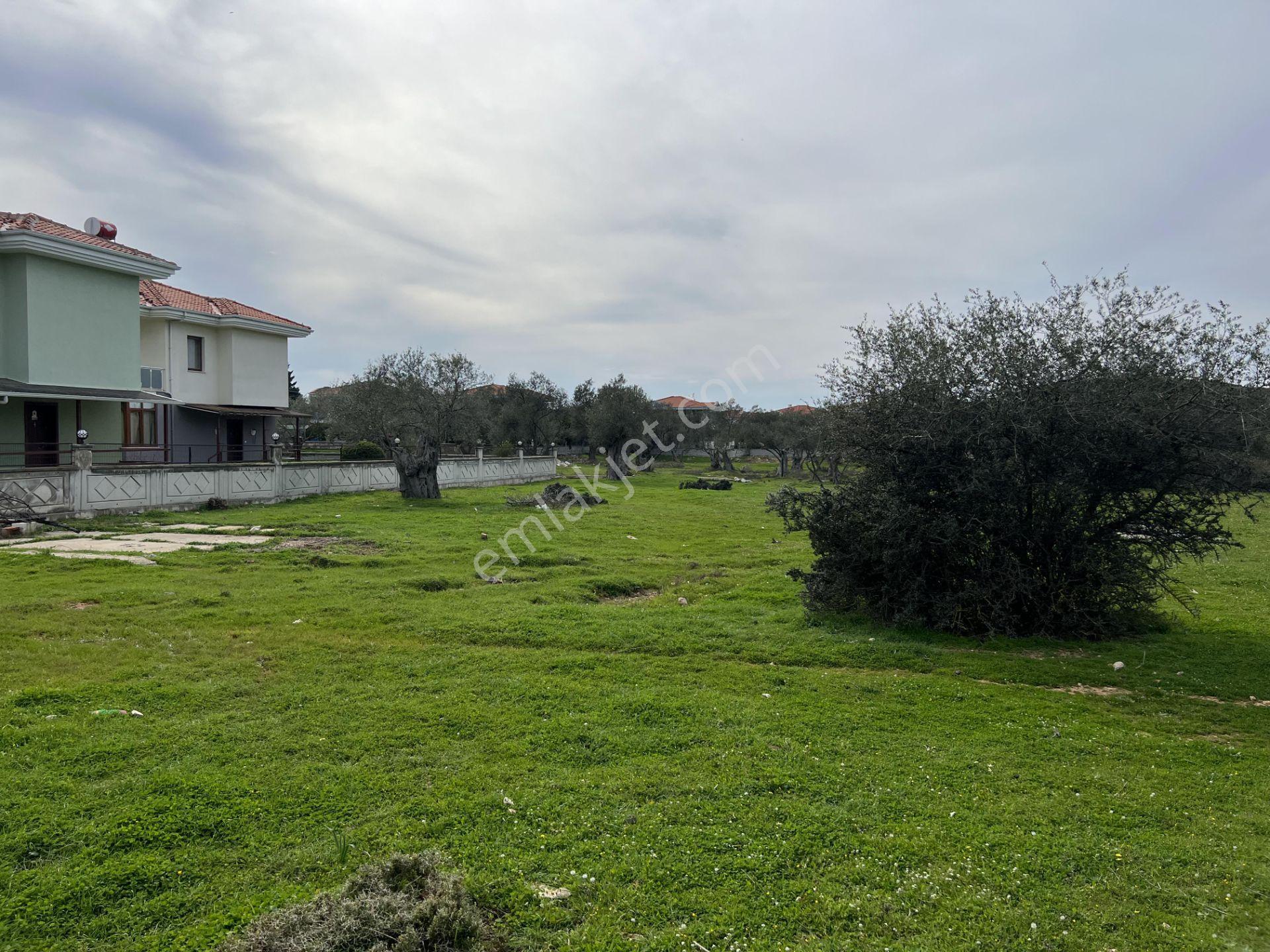 Ayvalık Camlık Ta Satılık 2540 Metre Kare Villa İmarlı Arsa — fotoğraf 10