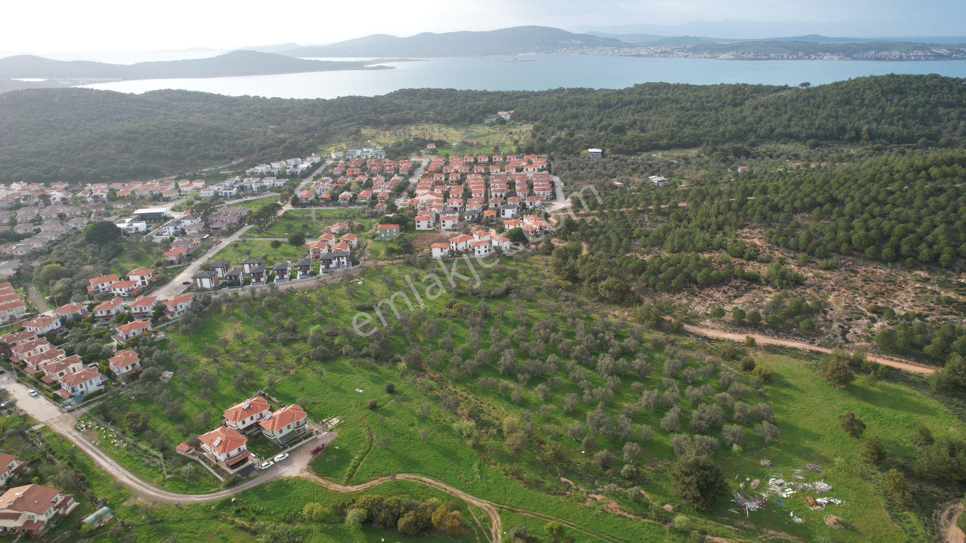 Ayvalık Camlık Ta Satılık 2540 Metre Kare Villa İmarlı Arsa — fotoğraf 12