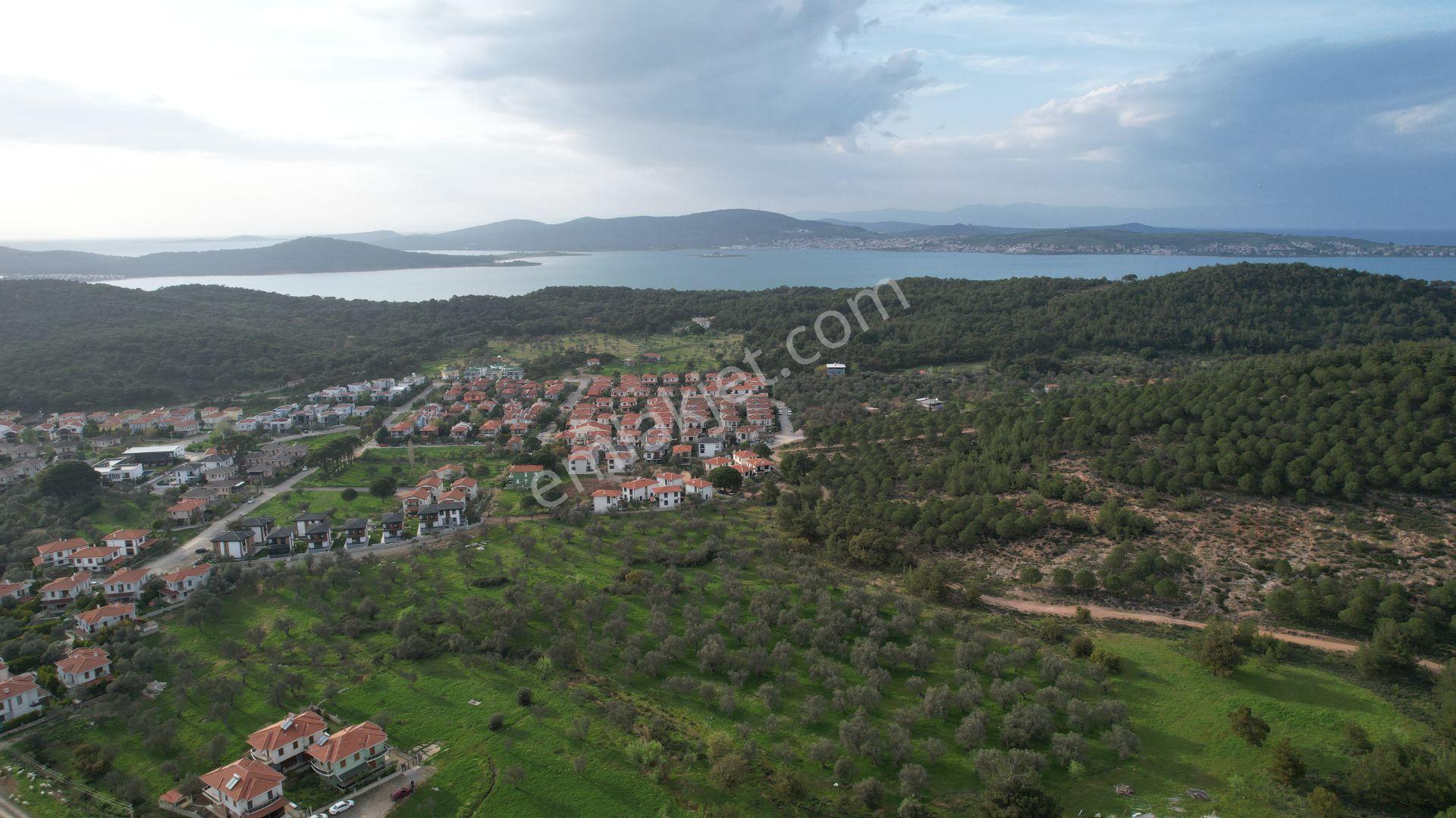 Ayvalık Camlık Ta Satılık 2540 Metre Kare Villa İmarlı Arsa — fotoğraf 14