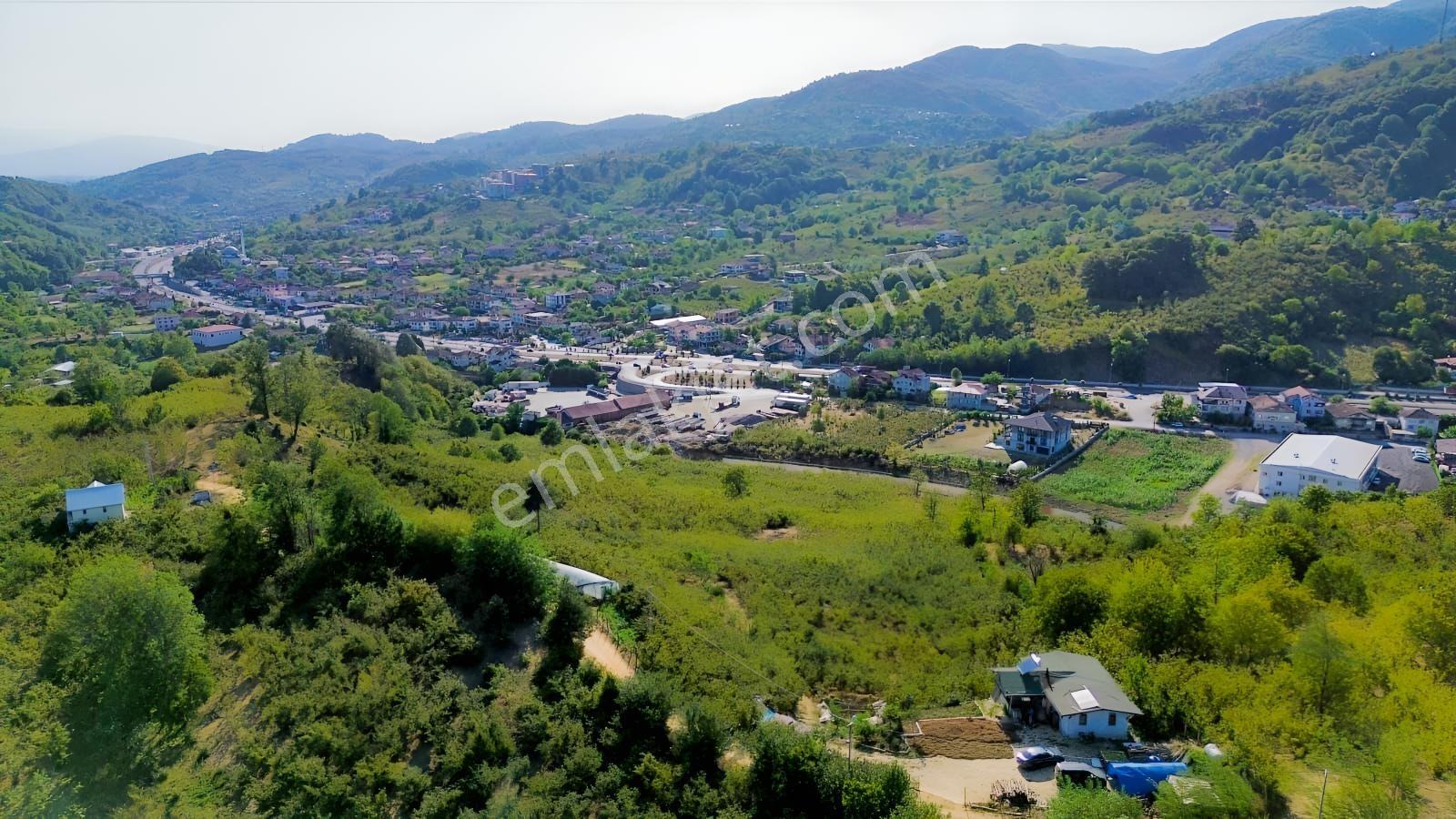 Düzcede İskanlı, Konutlu 11,8 Dönüm Fındıklık. Doğayla Yaşam.