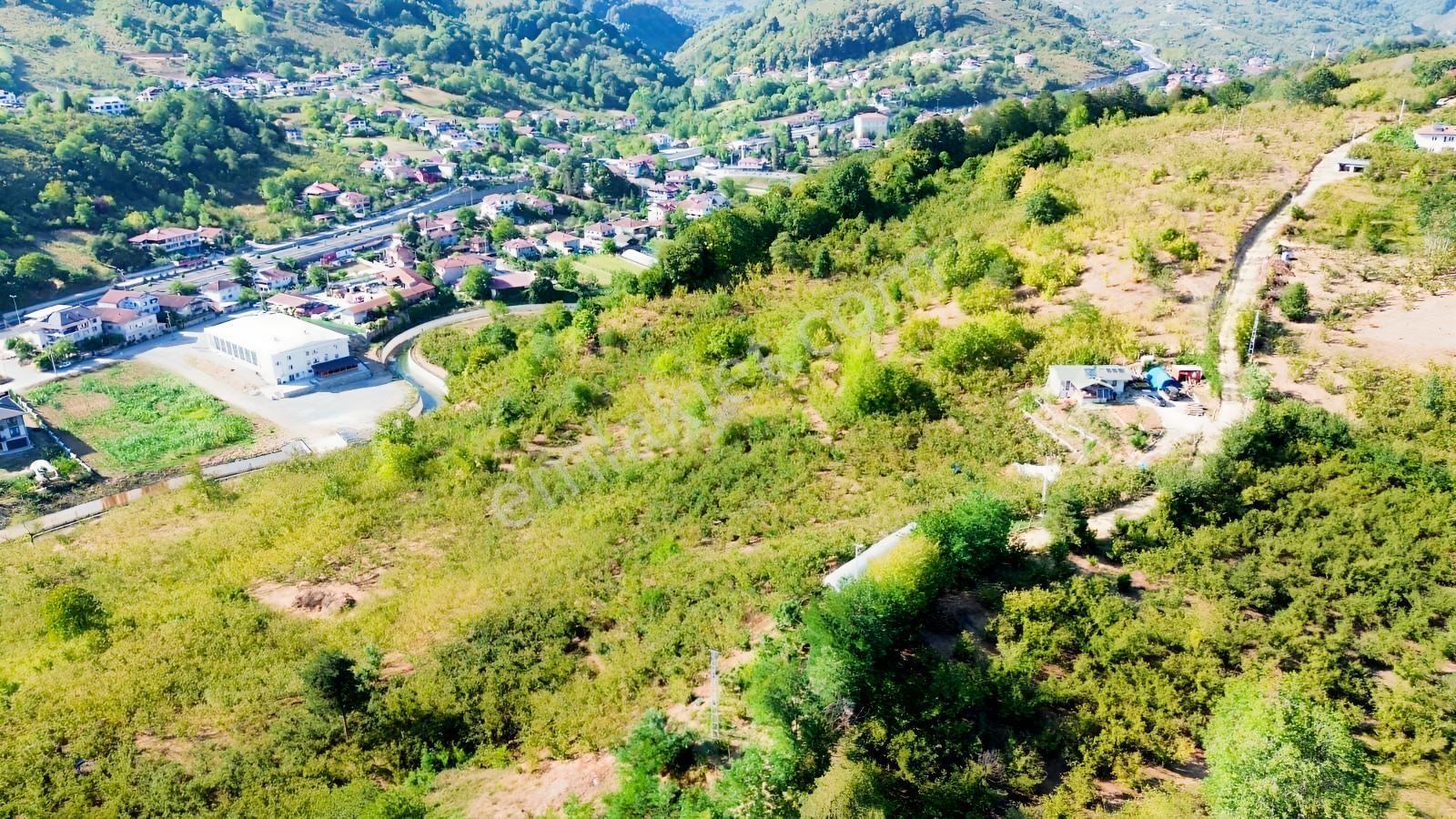 Düzcede İskanlı, Konutlu 11,8 Dönüm Fındıklık. Doğayla Yaşam. — fotoğraf 2