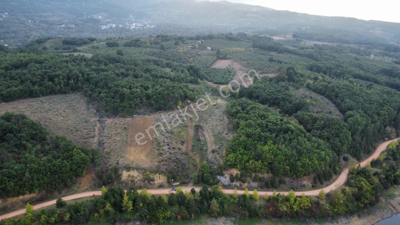 Bursa Kestel Kozderede Baraj Yoluna Cephe Satılık Tarla — fotoğraf 2