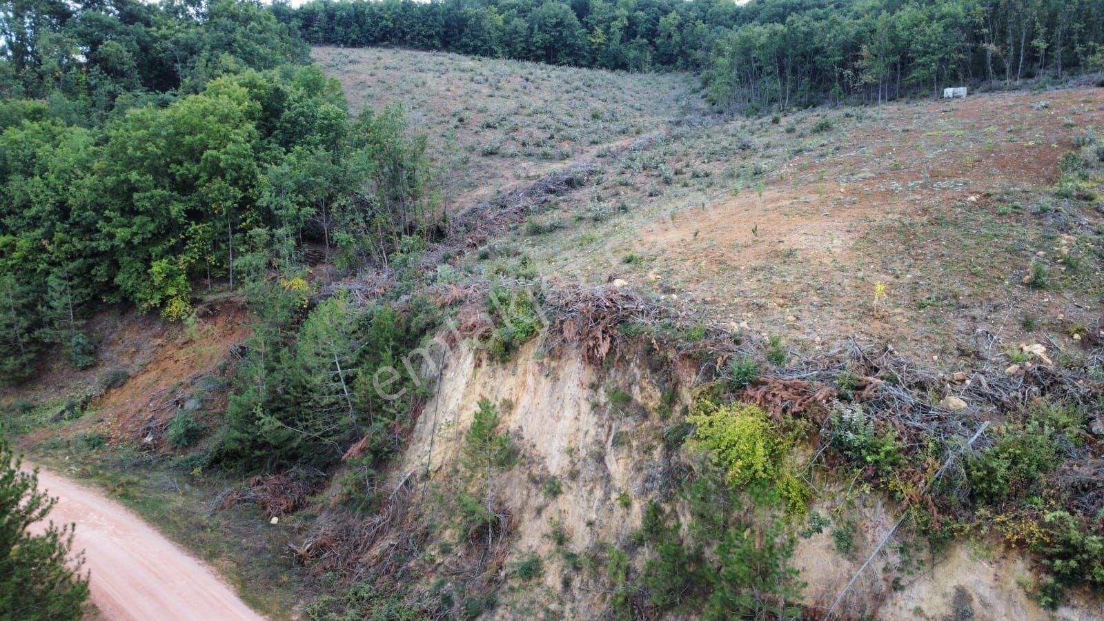 Bursa Kestel Kozderede Baraj Yoluna Cephe Satılık Tarla — fotoğraf 5