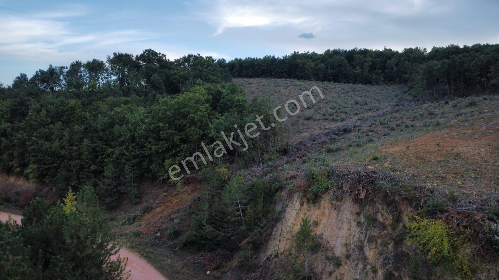 Bursa Kestel Kozderede Baraj Yoluna Cephe Satılık Tarla — fotoğraf 7