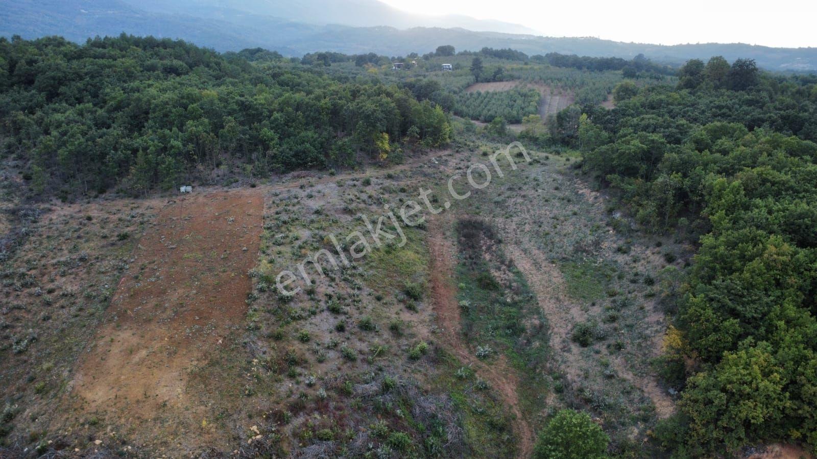 Bursa Kestel Kozderede Baraj Yoluna Cephe Satılık Tarla — fotoğraf 11