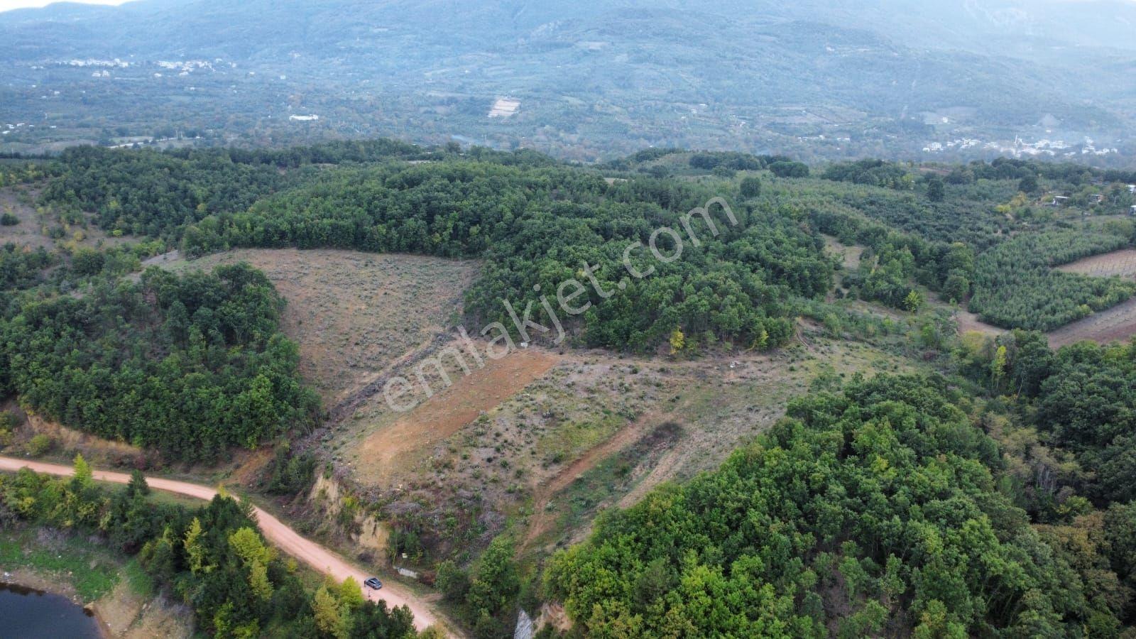 Bursa Kestel Kozderede Baraj Yoluna Cephe Satılık Tarla — fotoğraf 12