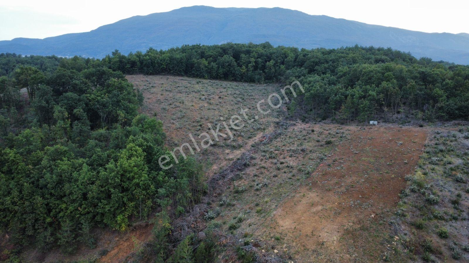 Bursa Kestel Kozderede Baraj Yoluna Cephe Satılık Tarla — fotoğraf 22