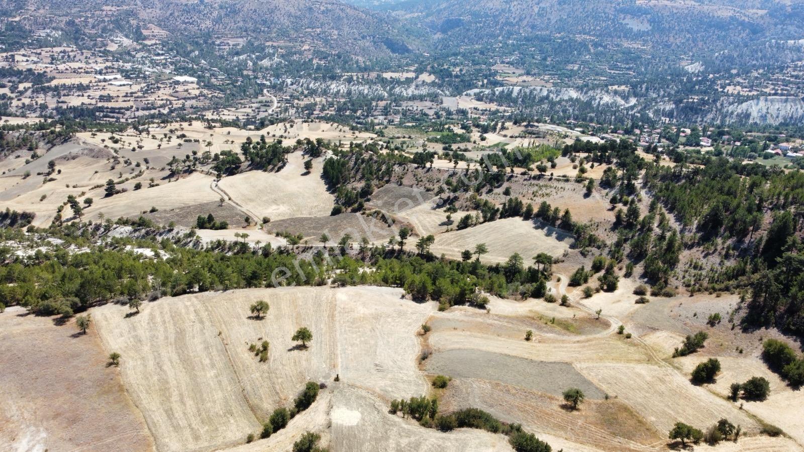 Nora'dan Takasa Açık Fırsat Arazi — fotoğraf 2