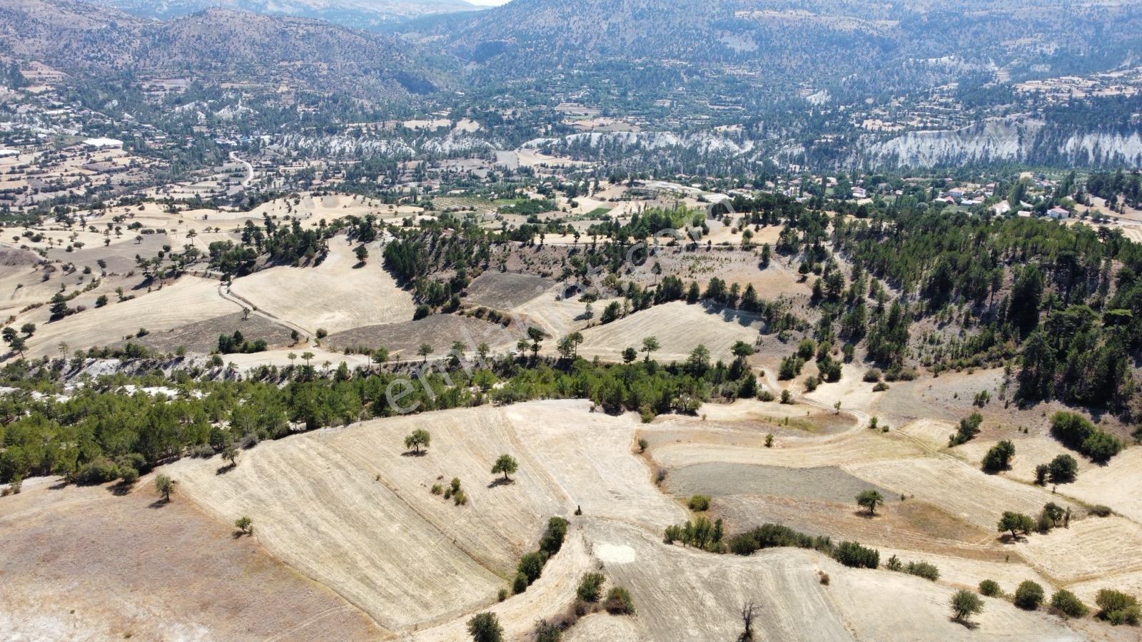 Nora'dan Takasa Açık Fırsat Arazi — fotoğraf 3