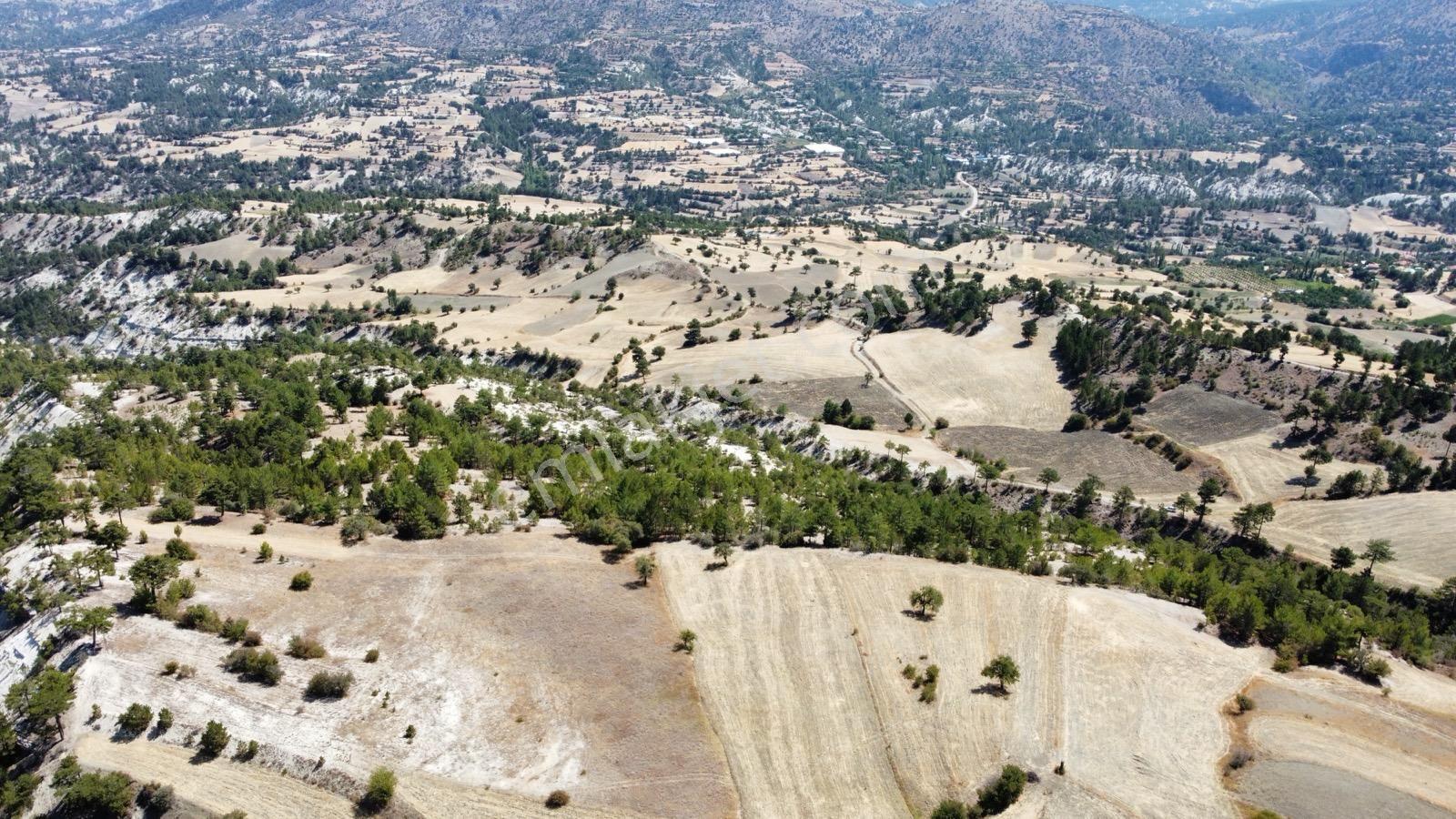 Nora'dan Takasa Açık Fırsat Arazi — fotoğraf 4