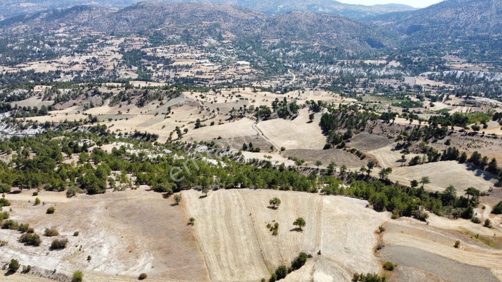 Nora'dan Takasa Açık Fırsat Arazi — fotoğraf 5