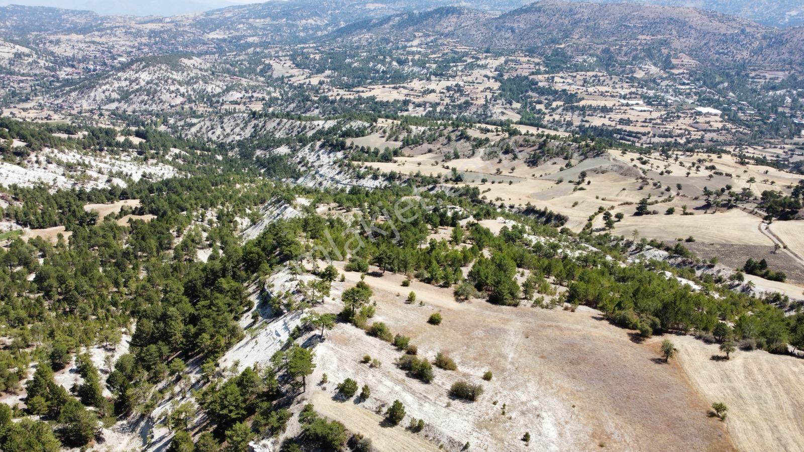 Nora'dan Takasa Açık Fırsat Arazi — fotoğraf 6